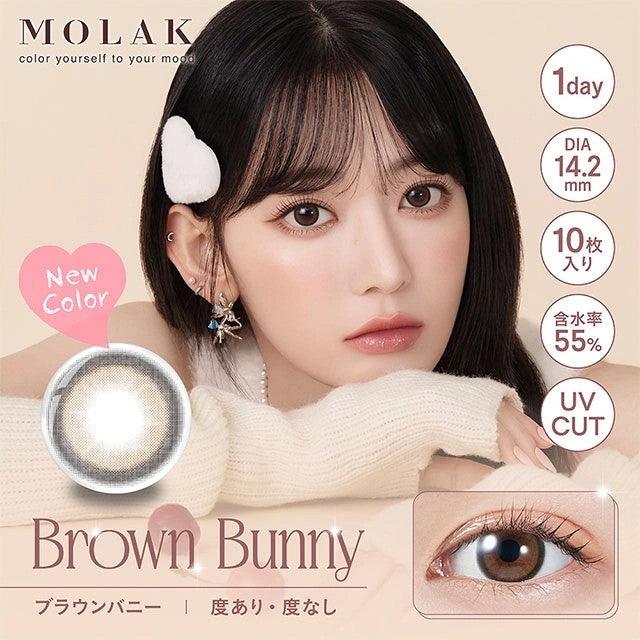 [LE SSERAFIM SAKURA] MOLAK Moraku One Day LENSES 10PCS - Brown Bunny ...