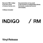 RM (BTS) - Indigo / 1st solo album (LP) - Shopping Around the World with Goodsnjoy
